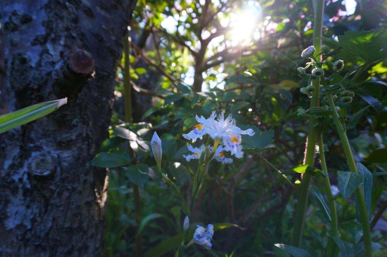 Atelier Bee'S Knees Bed & Breakfast 生駒市 エクステリア 写真